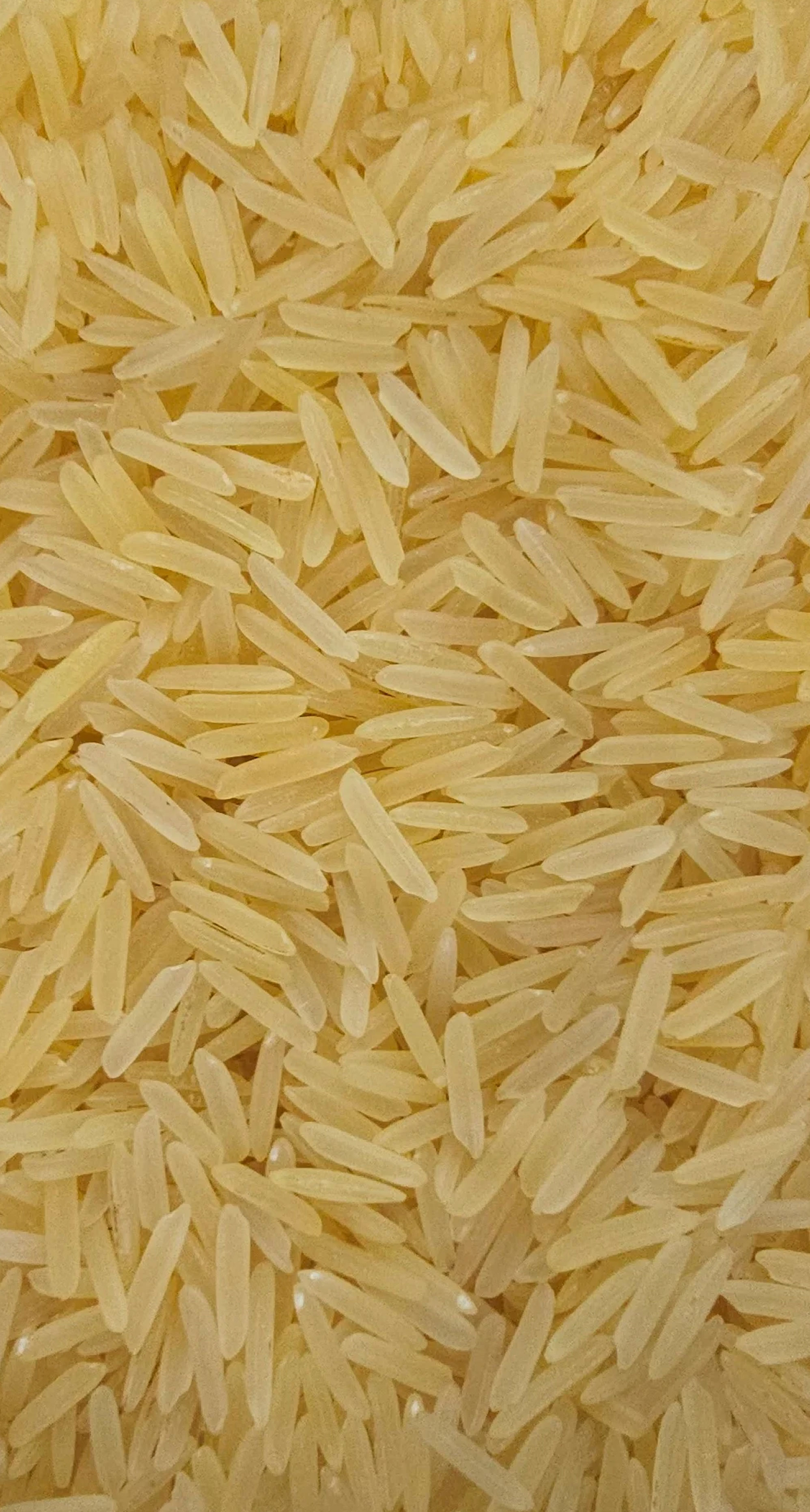 1401 Pusa Basmati Rice