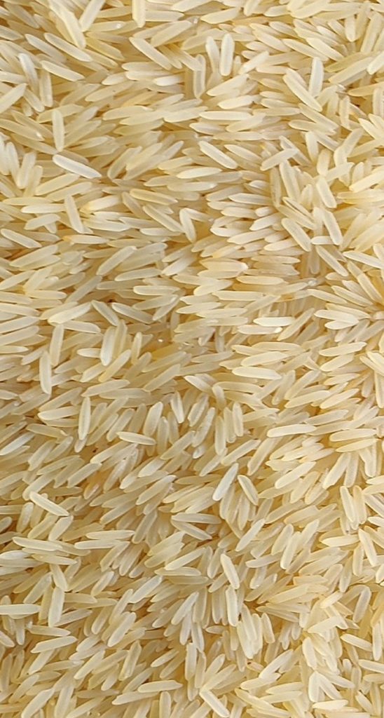 PR 11 Golden Sella Non-basmati Rice