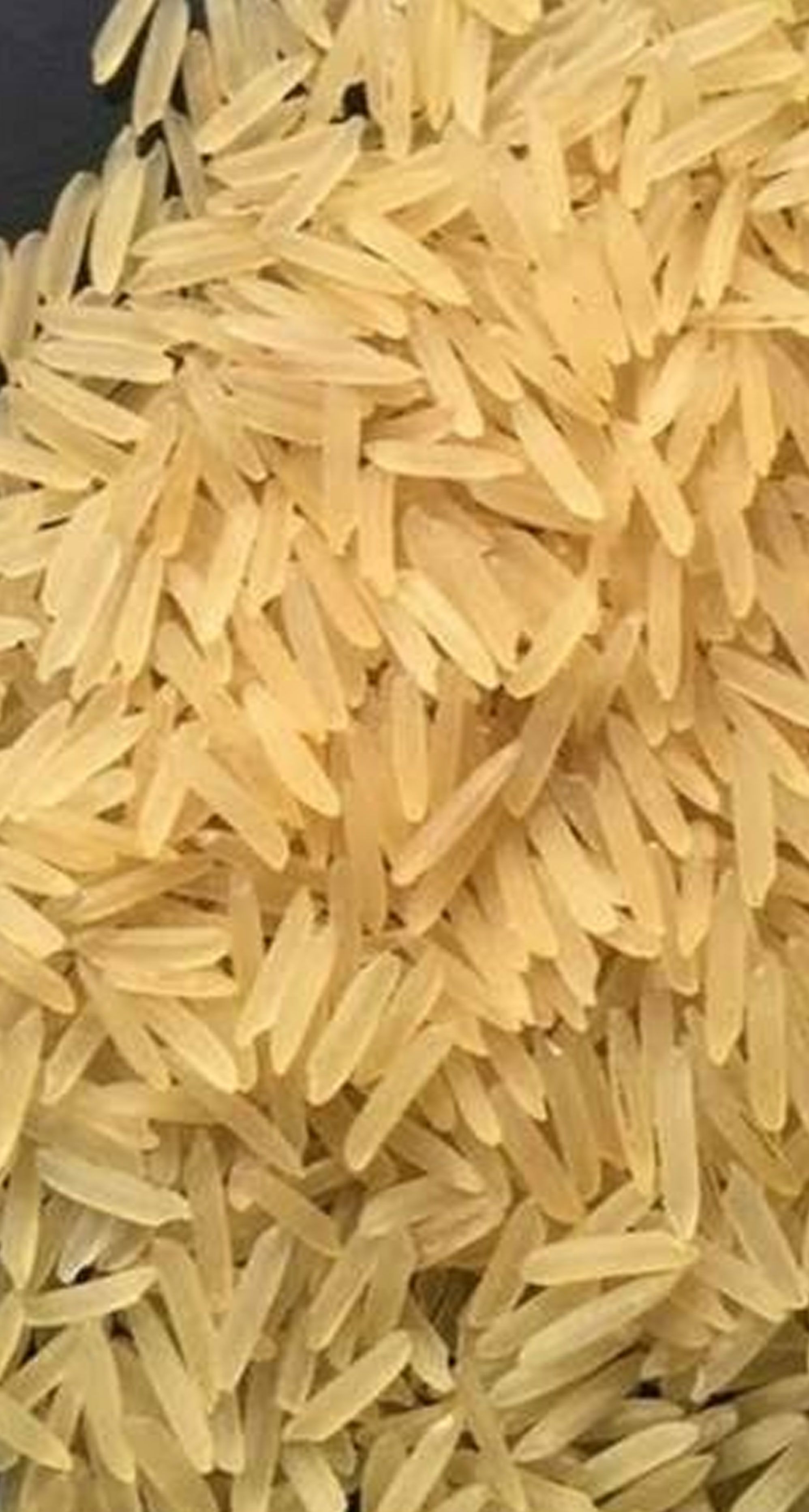 Traditional Basmati Rice